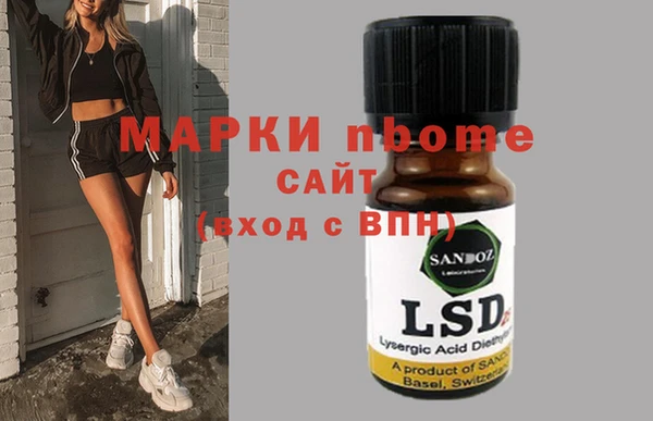 сатива Бородино