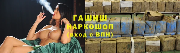 сатива Бородино
