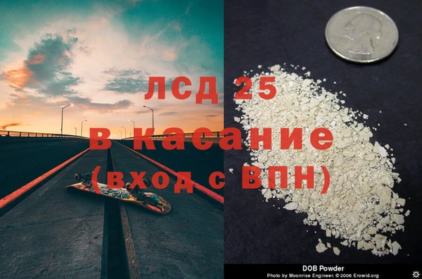сатива Бородино