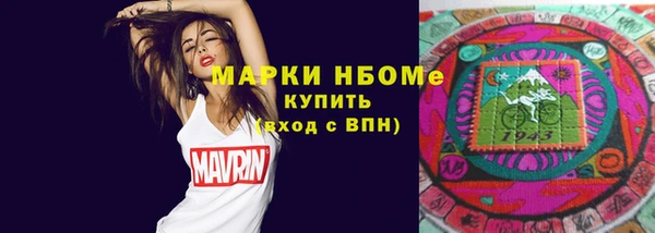 сатива Бородино