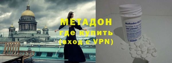 сатива Бородино