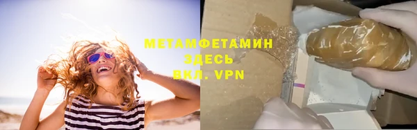 сатива Бородино