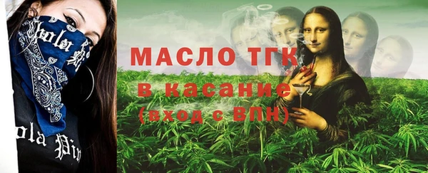 сатива Бородино