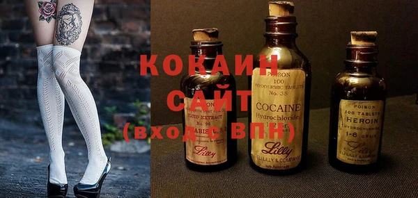 сатива Бородино